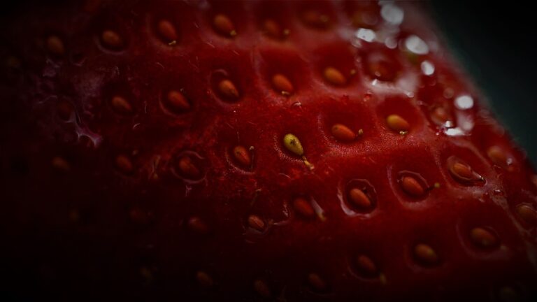 The Role of Music Therapy in Health and Healing