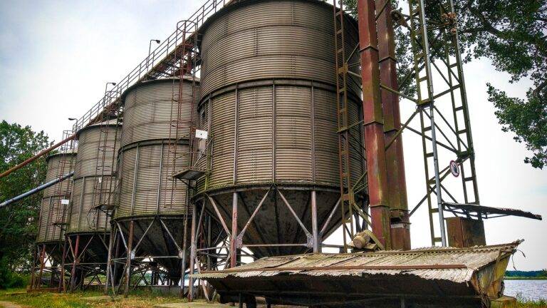 The Allure of Desert Safari Adventures: Exploring Sand Dunes and Bedouin Culture