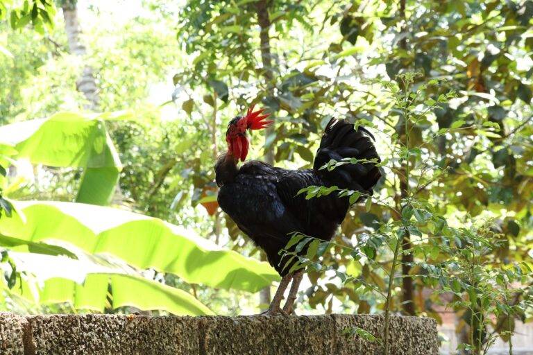 Analyzing the Impact of Social Equity Programs on Voter Sentiment