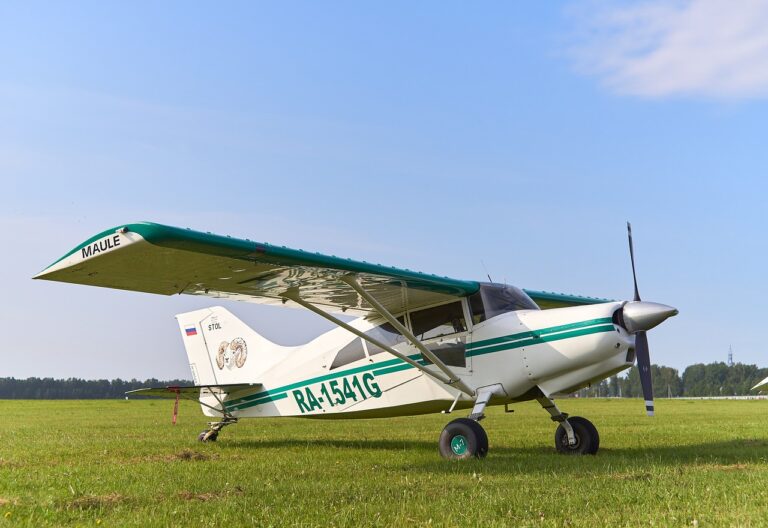 The Beauty of River Cruises: Sailing Through Historic Waterways